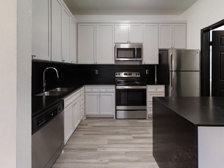 Renovated Kitchens with Stainless Steel Appliances and Black Quartz Countertops